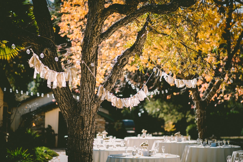 Lights in trees over an outdoor dining wedding setup