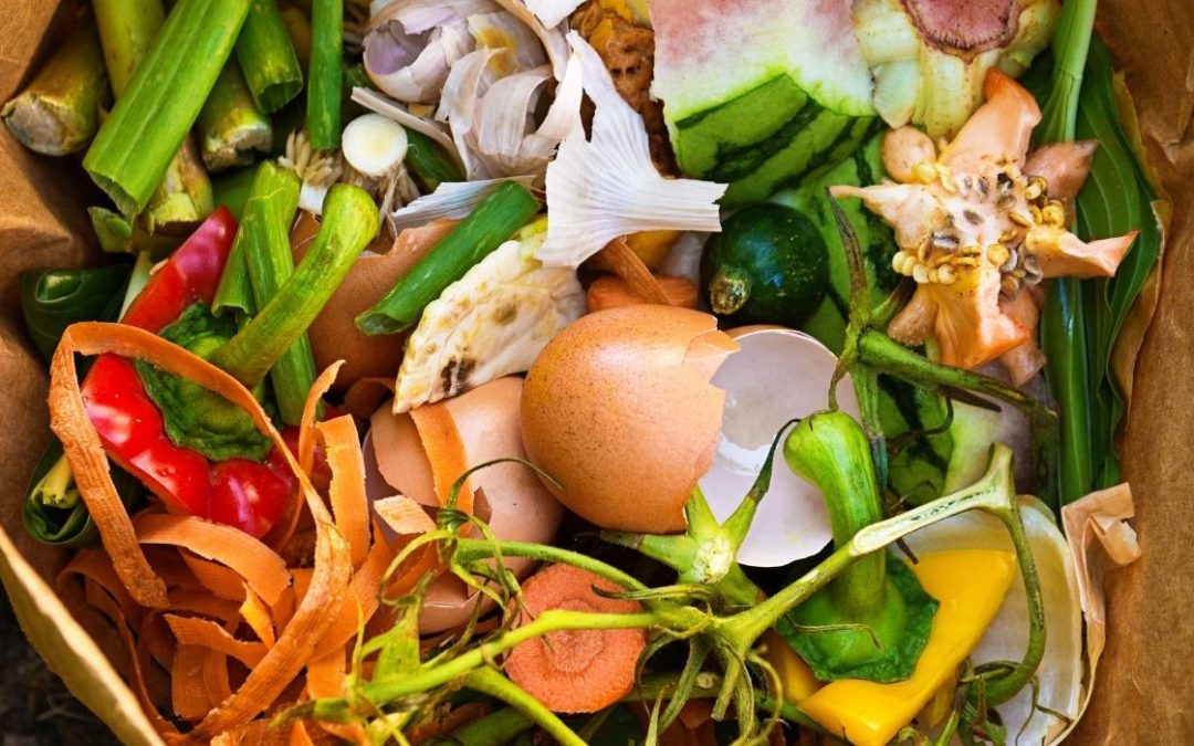 what inspired us to compost food?